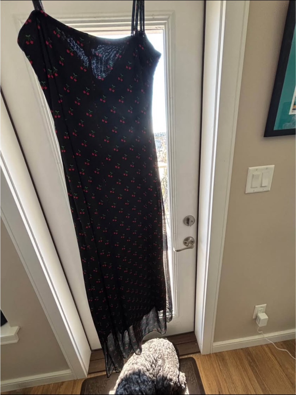 Black Cherry Slip Dress with Spaghetti Straps